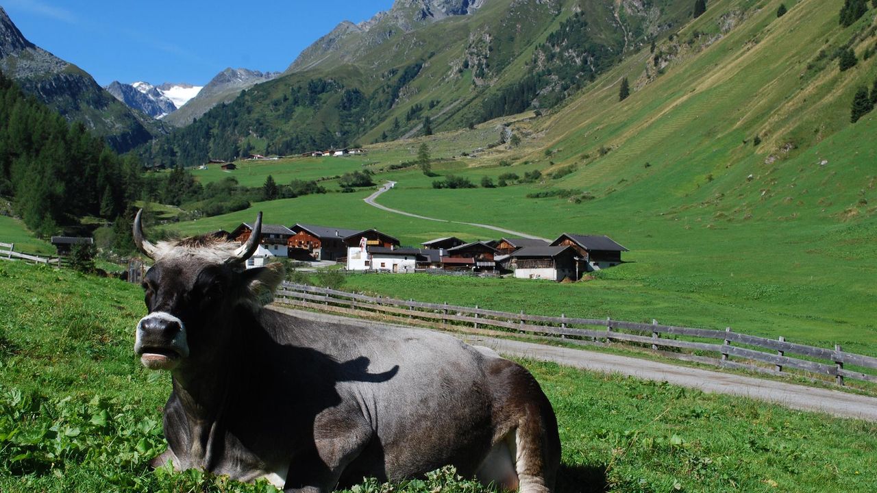 Brollerhof Alm Brollerhof Alm